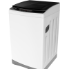 12kg DIRECT DRIVE INVERTER Top Load Washing Machine